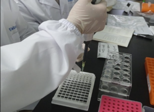 Gambar 38. Proses penambahan Biotinylated Detection Antibody working solution