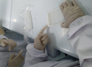 Gambar 41. Proses mengetuk sisi (pinggiran) microplate secara lembut selama proses pencucian