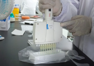Gambar 42. Proses penambahan TMB Substrate