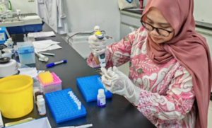 Gambar 43. Pembuatan serial dilusi untuk QT-EH0201