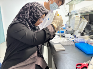 Gambar 49. Proses penambahan biotin-labeled antibody pada EH0201