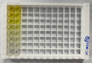 Gambar 54. Well Plate QT-EH0201 setelah penambahan stop solution