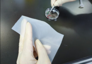 Gambar 8. Penyiapan 70 μm mesh nylon strainer untuk proses disosiasi