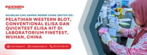 Kejarlah Ilmu Sampai Negeri CHINA (Batch 03) _Pelatihan Western Blot, Conventional ELISA dan QuickTest ELISA Kit di Laboratorium FineTest, Wuhan, China
