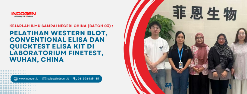 Pelatihan Western Blot, Conventional ELISA dan QuickTest ELISA Kit di Laboratorium FineTest, Wuhan, China