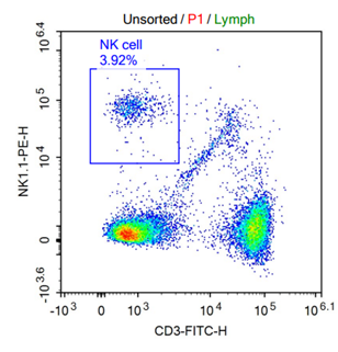 unsorted p1 lymph