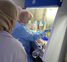 Gambar 16. Proses harvesting oleh peserta