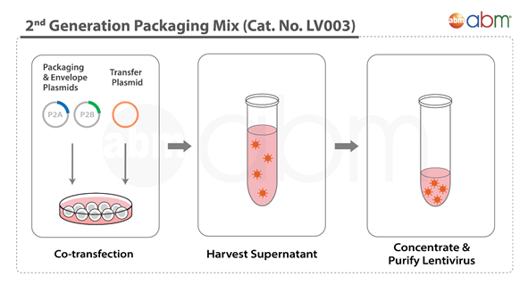 Gambar 2. Produk Packaging Generasi ke-2 dari ABMGood