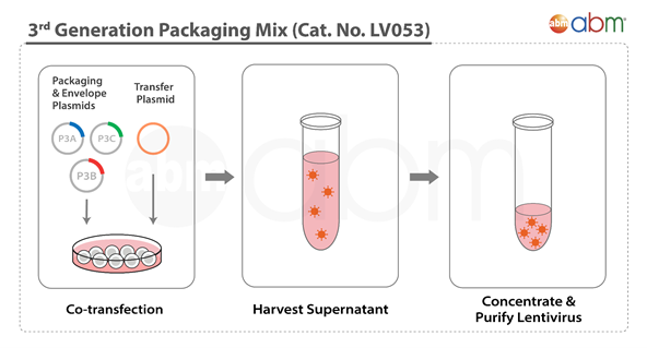 Gambar 3. Produk Packaging Generasi ke-3 dari ABMGood