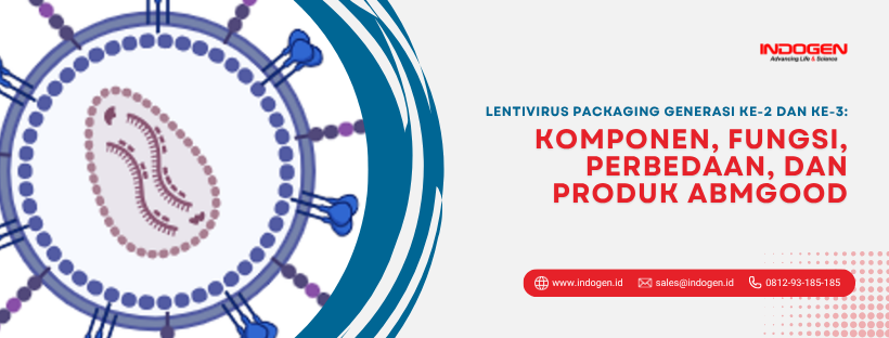 Lentivirus Packaging Generasi ke-2 dan ke-3_