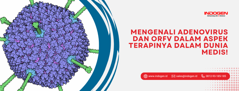 Mengenali Adenovirus dan ORFV dalam Aspek Terapinya dalam Dunia Medis!