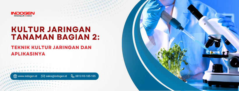 Kultur Jaringan Tanaman Bagian 2_ Teknik Kultur Jaringan dan Aplikasinya