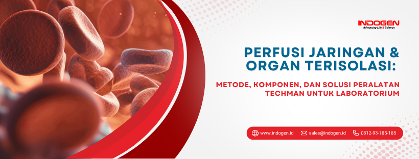 Perfusi Jaringan & Organ Terisolasi_ Metode, Komponen, dan Solusi Peralatan Techman untuk Laboratorium