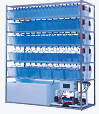 BL-ZAS-5L2R

(5 Layer, Double Row)