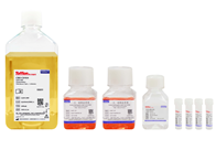 CHO Transient Transfection Kit01