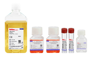 CHO Transient Transfection Kit02