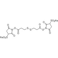 Cross-Linking Reagents