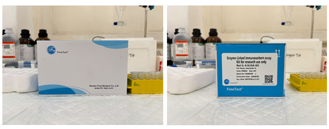 Gambar 2. ELISA Kit brand FineTest yang digunakan dalam workshop