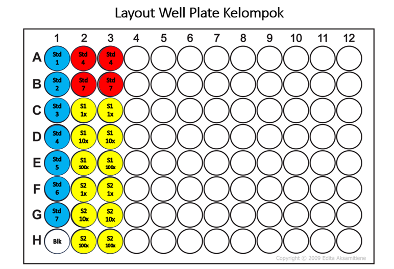 Gambar 5. Layout Well Plate Kelompok