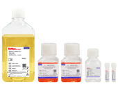 HEK Trans Kit 01 Rapid Transfection Kit