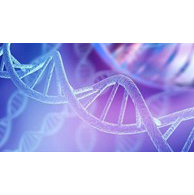 Molecular-Biology-edit