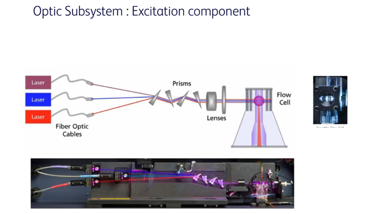 Workshop Flow Cytometry 6