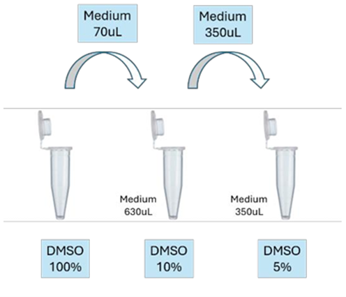 larutan DMSO