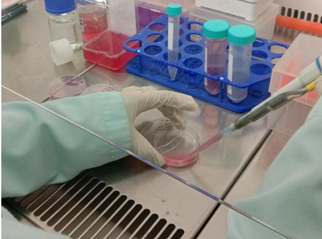 menghitung sel menggunakan haemocytometer